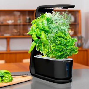 AeroGarden - Sprout - Healthy cooking garden kit