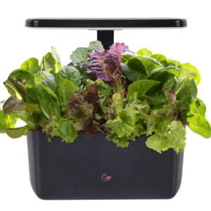 Harvest 2.0 Aerogarden