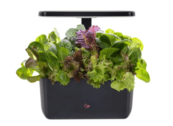 Harvest 2.0 Aerogarden