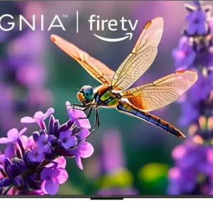 Insignia™ - 65" Class F50 Series LED 4K UHD Smart Fire TV